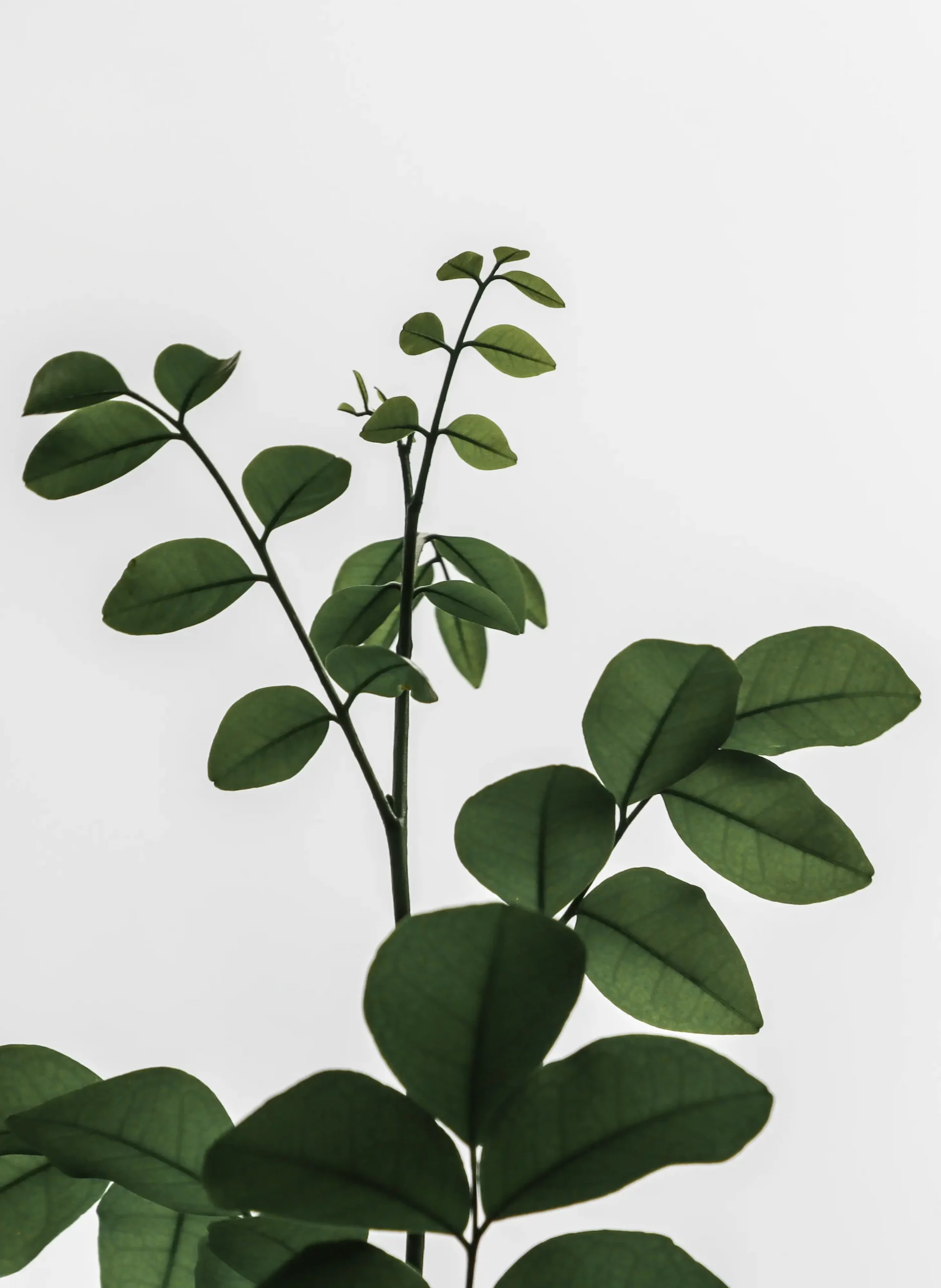 Hypnose Berlin Friedrichshain • Therapie Praxis