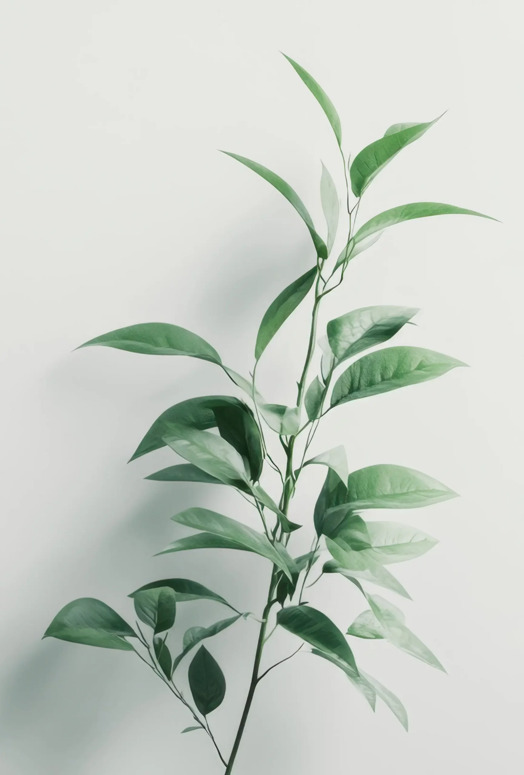 Begleitung nach belastenden Erfahrungen • Therapie in Berlin-Friedrichshain